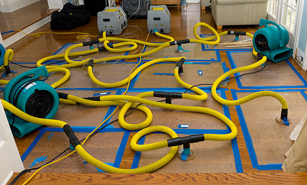 Professional Crawl Space Water Removal technician working in Rock Creek, OH